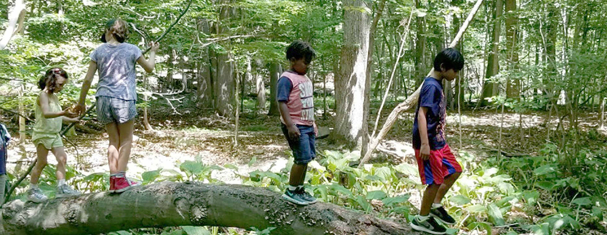 Spring After School Classes at Marydell!